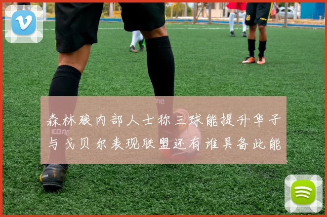 森林狼内部人士称三球能提升华子与戈贝尔表现联盟还有谁具备此能力